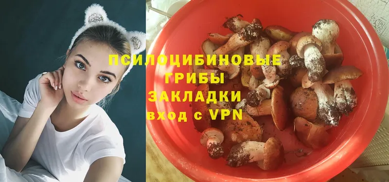 Галлюциногенные грибы Psilocybe  Анадырь 